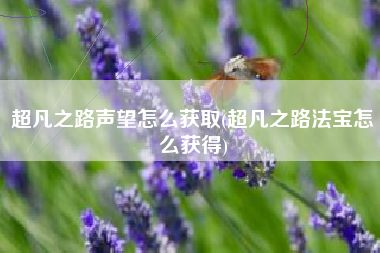 超凡之路声望怎么获取(超凡之路法宝怎么获得)