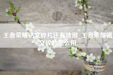 王者荣耀铭文碎片还有啥用_王者荣耀铭文碎片怎么用