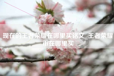 现在的王者荣耀在哪里买铭文_王者荣耀币在哪里买