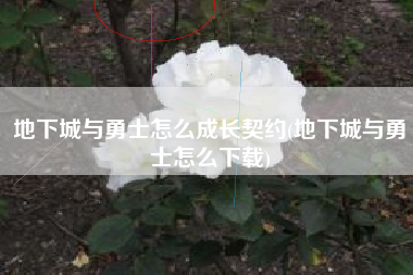 地下城与勇士怎么成长契约(地下城与勇士怎么下载)