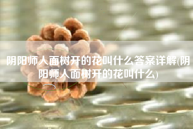 阴阳师人面树开的花叫什么答案详解(阴阳师人面树开的花叫什么)