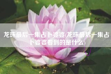 龙珠最后一集占卜婆婆(龙珠最后一集占卜婆婆看到的是什么)