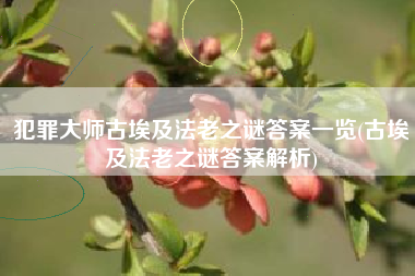 犯罪大师古埃及法老之谜答案一览(古埃及法老之谜答案解析)