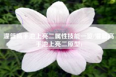 灌篮高手池上亮二属性技能一览(灌篮高手池上亮二原型)