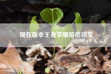 现在版本王者荣耀暗信铭文