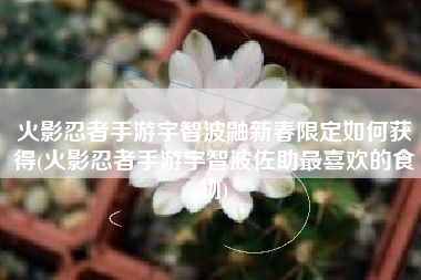 火影忍者手游宇智波鼬新春限定如何获得(火影忍者手游宇智波佐助最喜欢的食物)