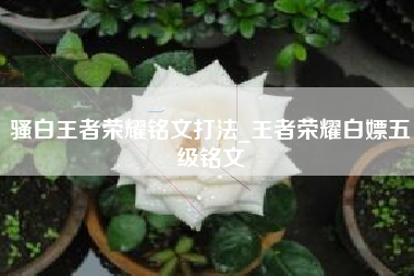 骚白王者荣耀铭文打法_王者荣耀白嫖五级铭文