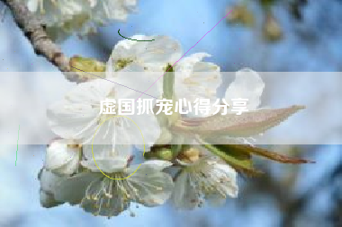 虚国抓宠心得分享