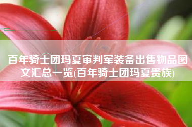 百年骑士团玛夏审判军装备出售物品图文汇总一览(百年骑士团玛夏贵族)