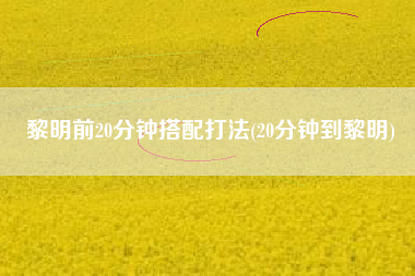 黎明前20分钟搭配打法(20分钟到黎明)