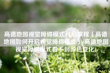 高德地图视觉障碍模式开启教程（高德地图如何开启视觉障碍模式）(高德地图视觉障碍模式看不到颜色变化)