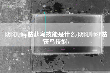 阴阳师sp姑获鸟技能是什么(阴阳师SP姑获鸟技能)
