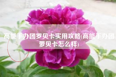 高能手办团罗贝卡实用攻略(高能手办团萝贝卡怎么样)