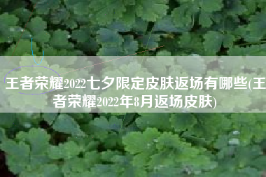 王者荣耀2022七夕限定皮肤返场有哪些(王者荣耀2022年8月返场皮肤)