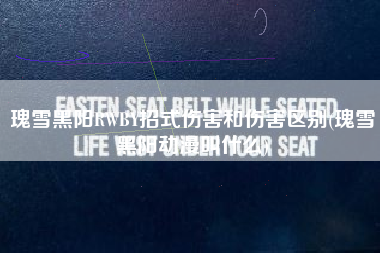 瑰雪黑阳RWBY招式伤害和伤害区别(瑰雪黑阳动漫叫什么)
