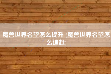 魔兽世界名望怎么提升 (魔兽世界名望怎么追赶)