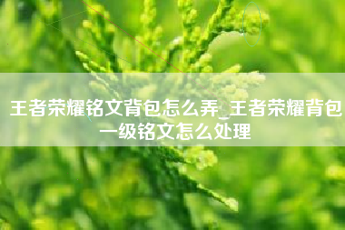 王者荣耀铭文背包怎么弄_王者荣耀背包一级铭文怎么处理