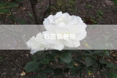石器驯兽师