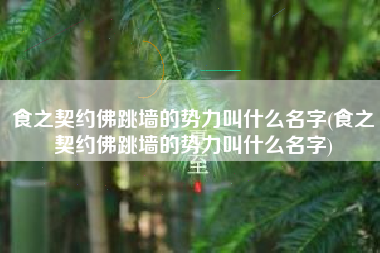 食之契约佛跳墙的势力叫什么名字(食之契约佛跳墙的势力叫什么名字)