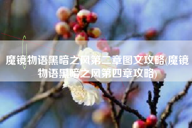 魔镜物语黑暗之风第二章图文攻略(魔镜物语黑暗之风第四章攻略)