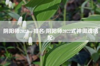 阴阳师2022ssr排名(阴阳师2022式神御魂搭配)
