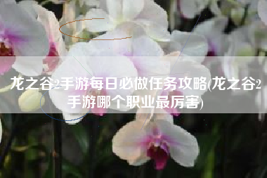 龙之谷2手游每日必做任务攻略(龙之谷2手游哪个职业最厉害)