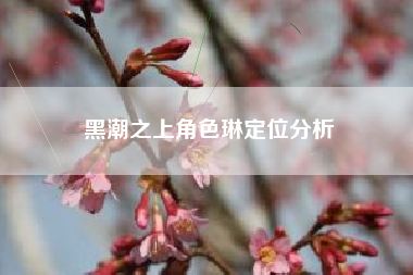 黑潮之上角色琳定位分析