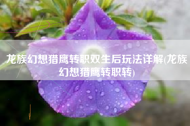 龙族幻想猎鹰转职双生后玩法详解(龙族幻想猎鹰转职转)