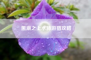 黑潮之上水肺游猎攻略