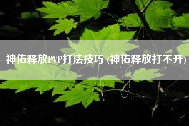 神佑释放PVP打法技巧 (神佑释放打不开)