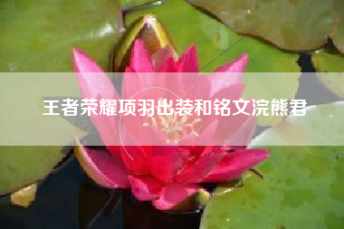 王者荣耀项羽出装和铭文浣熊君