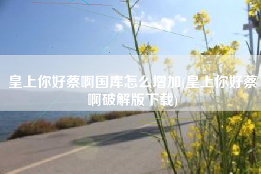 皇上你好蔡啊国库怎么增加(皇上你好蔡啊破解版下载)