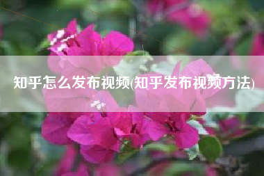 知乎怎么发布视频(知乎发布视频方法)