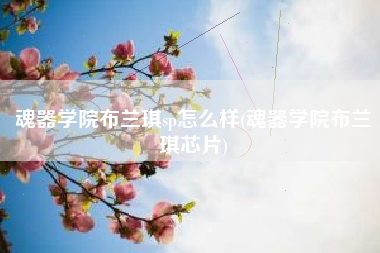 魂器学院布兰琪sp怎么样(魂器学院布兰琪芯片)