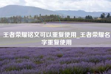 王者荣耀铭文可以重复使用_王者荣耀名字重复使用