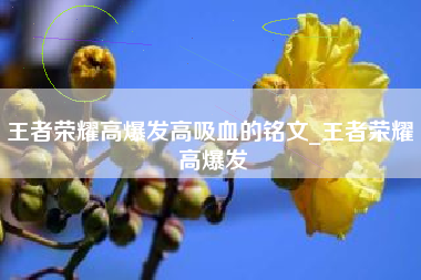 王者荣耀高爆发高吸血的铭文_王者荣耀 高爆发