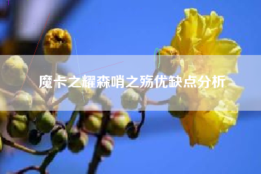 魔卡之耀森哨之殇优缺点分析