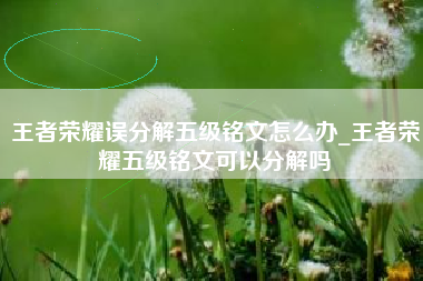 王者荣耀误分解五级铭文怎么办_王者荣耀五级铭文可以分解吗