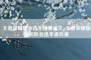 王者荣耀职业选手国服铭文_王者荣耀国服和职业选手谁厉害