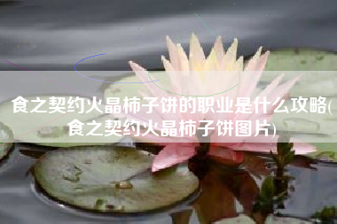 食之契约火晶柿子饼的职业是什么攻略(食之契约火晶柿子饼图片)