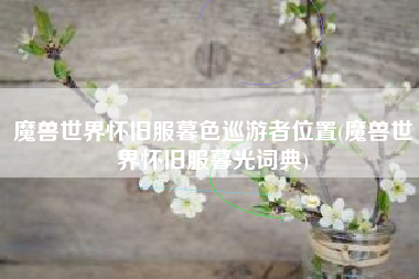 魔兽世界怀旧服暮色巡游者位置(魔兽世界怀旧服暮光词典)