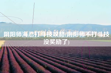 阴阳师海忍打斗技攻略(阴阳师不打斗技没奖励了)