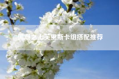 黑潮之上芙里斯卡组搭配推荐