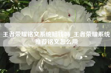 王者荣耀铭文系统赔钱吗_王者荣耀系统推荐铭文怎么用