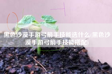 黑色沙漠手游弓箭手技能选什么(黑色沙漠手游弓箭手技能搭配)