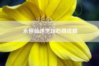永恒仙途烹饪心得攻略