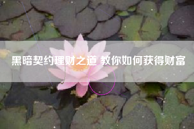 黑暗契约理财之道 教你如何获得财富