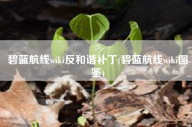 碧蓝航线wiki反和谐补丁(碧蓝航线wiki图鉴)