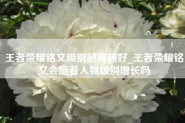 王者荣耀铭文级别越高越好_王者荣耀铭文会随着人物级别增长吗
