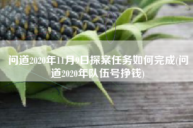 问道2020年11月9日探案任务如何完成(问道2020年队伍号挣钱)